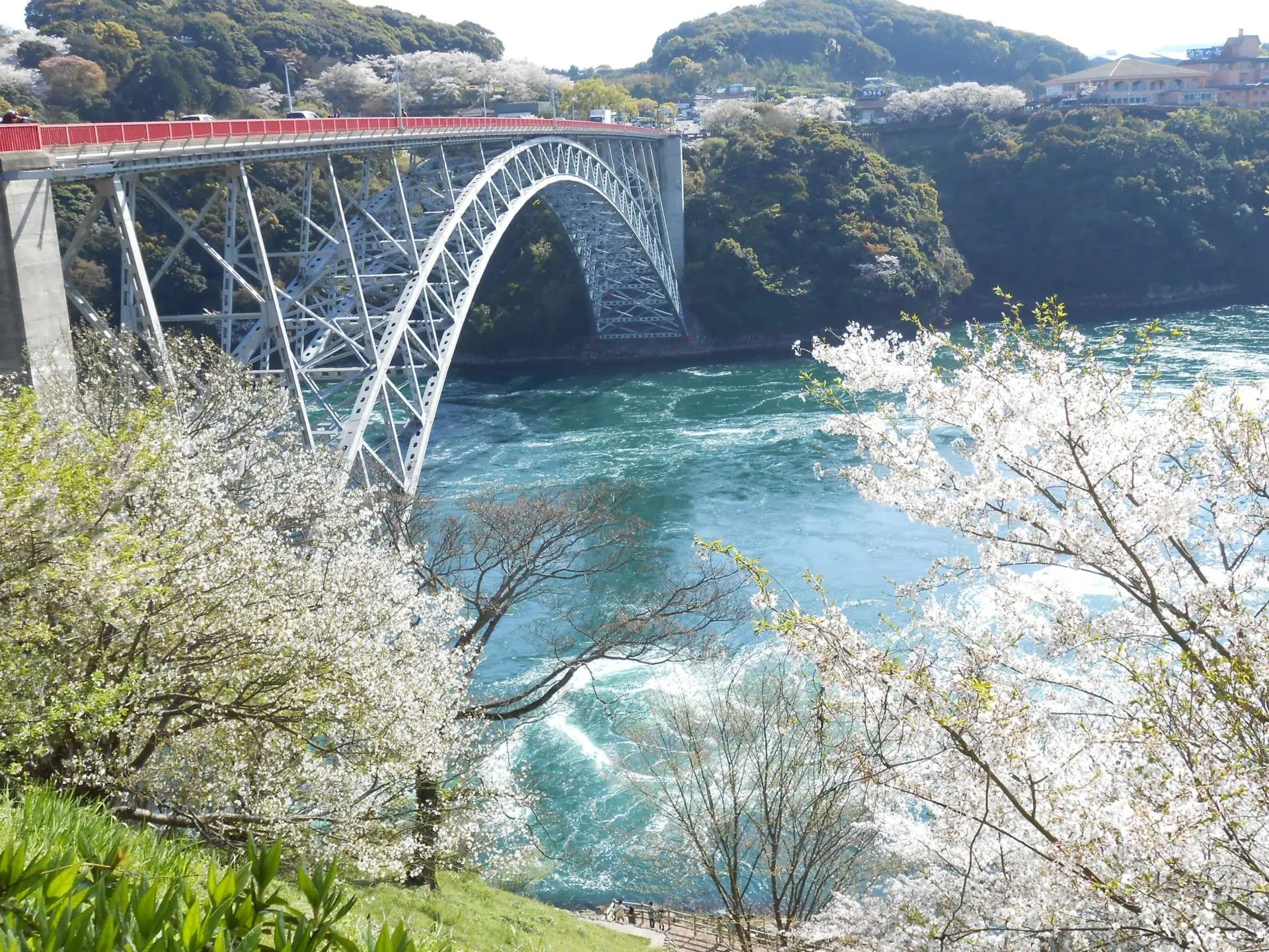 🏞️ 사이카이바시 공원 (西海橋公園) 이미지 7